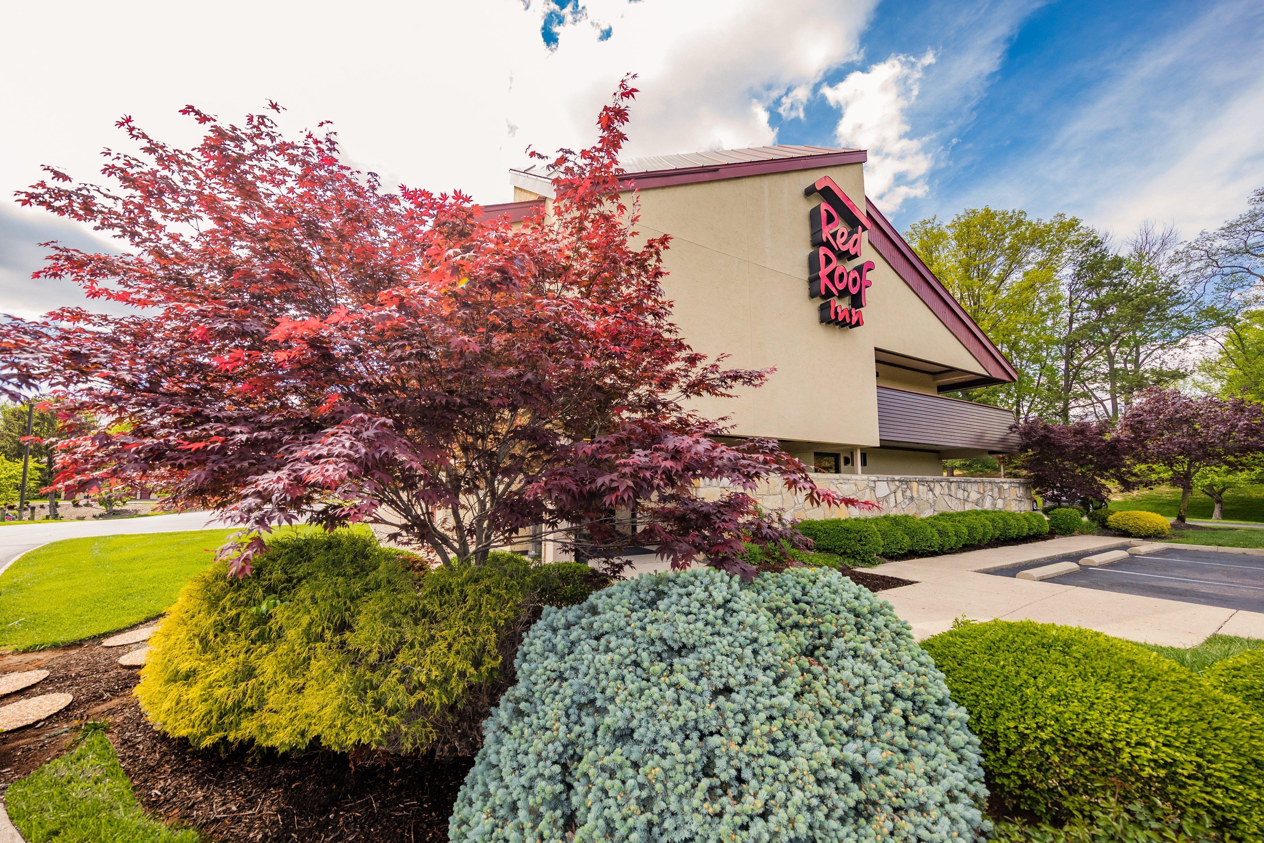 Red Roof Inn Cincinnati Northeast - Blue Ash Bagian luar foto