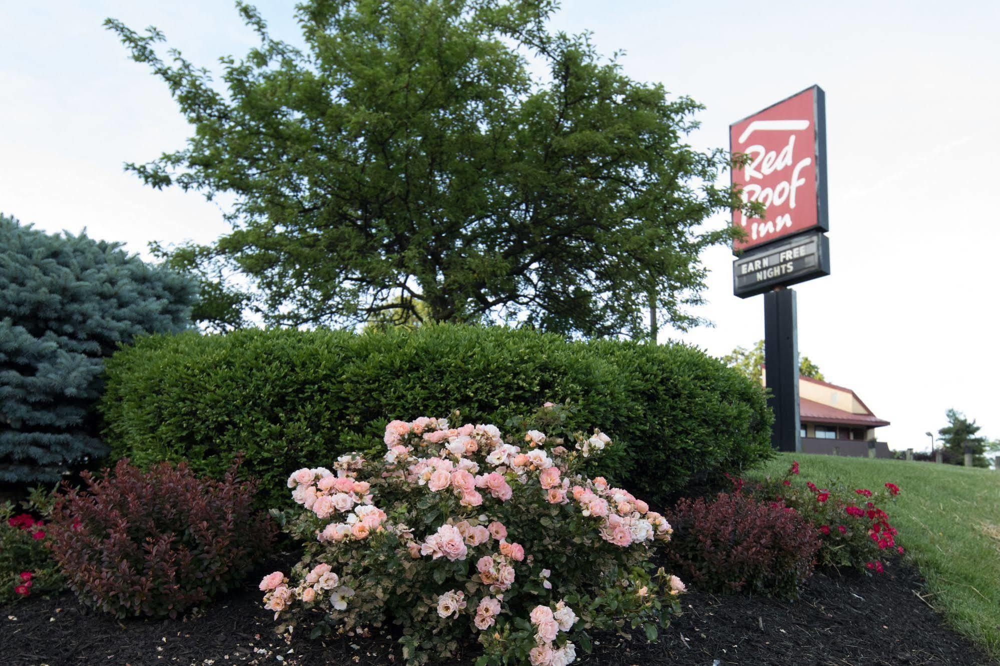 Red Roof Inn Cincinnati Northeast - Blue Ash Bagian luar foto